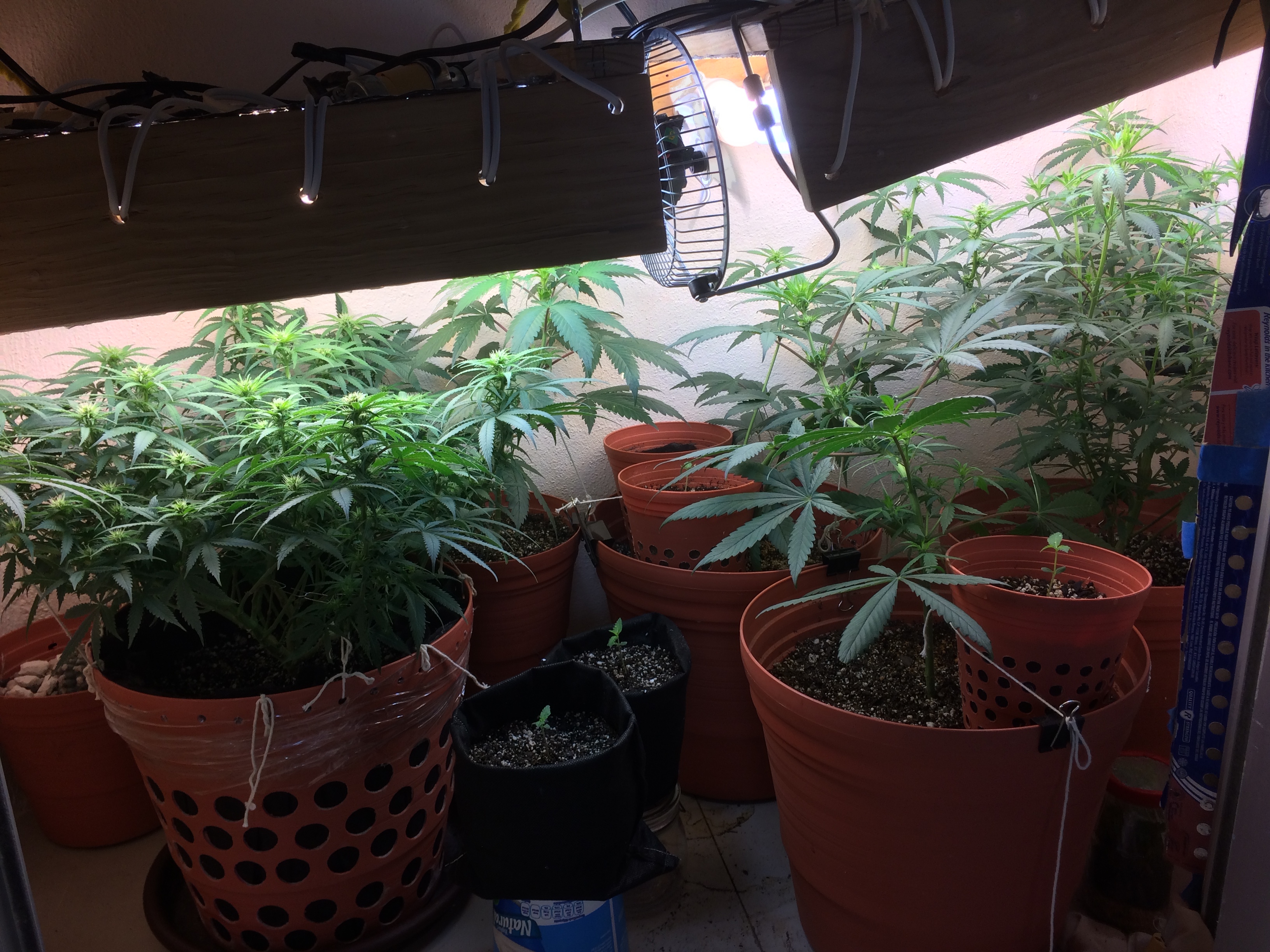 Click image for larger version

Name:	IMG_2109.JPG
Views:	178
Size:	3.82 MB
ID:	82601