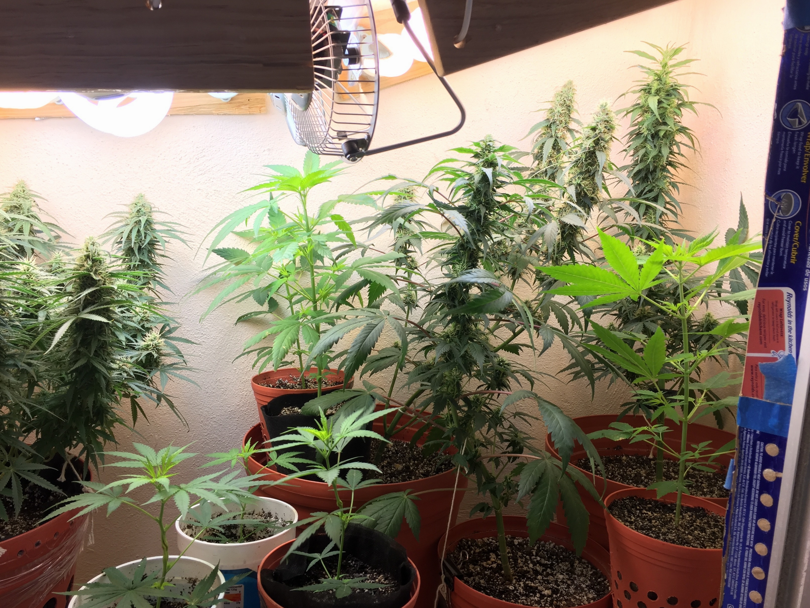 Click image for larger version

Name:	IMG_6092.jpg
Views:	330
Size:	4.94 MB
ID:	96551