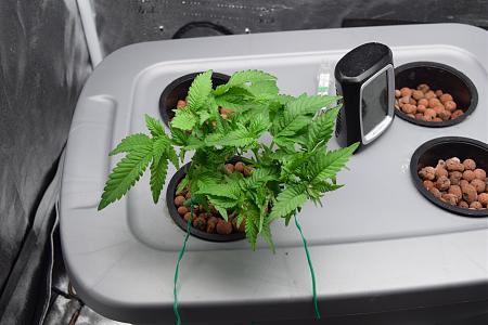 Click image for larger version

Name:	DSC_0254.JPG
Views:	178
Size:	5.49 MB
ID:	33690