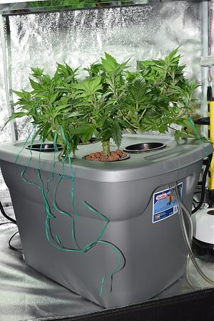 Click image for larger version

Name:	DSC_0252.JPG
Views:	177
Size:	6.24 MB
ID:	33694