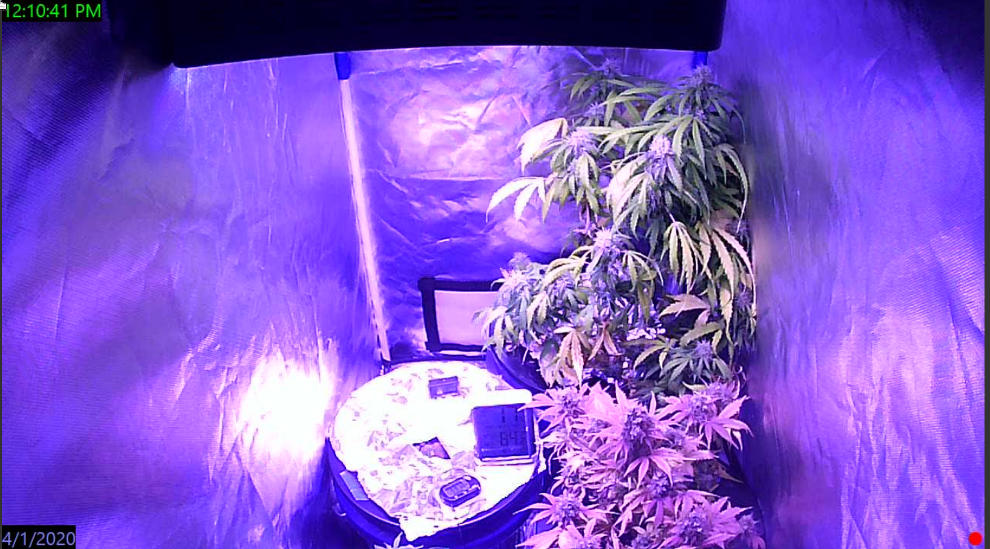 Click image for larger version

Name:	Screenshot_20200401_121057.png
Views:	282
Size:	1.58 MB
ID:	390658