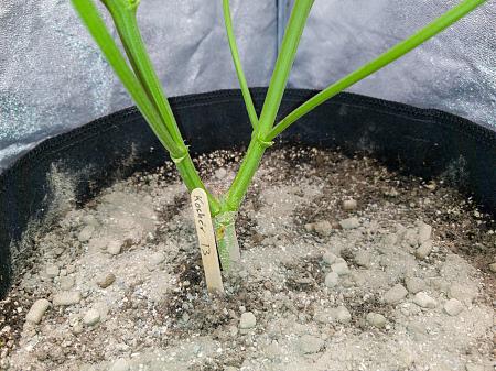 Click image for larger version

Name:	LRM_EXPORT_300141140398666_20190315_195355916.jpeg
Views:	195
Size:	1,015.6 KB
ID:	298667