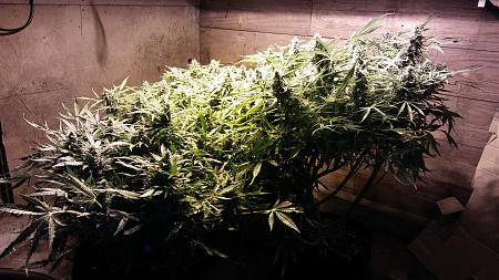 Click image for larger version

Name:	20170429_072147.jpg
Views:	213
Size:	5.99 MB
ID:	86071