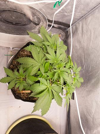 Click image for larger version

Name:	LRM_EXPORT_20080677376381_20190216_172152899.jpeg
Views:	226
Size:	919.1 KB
ID:	292365