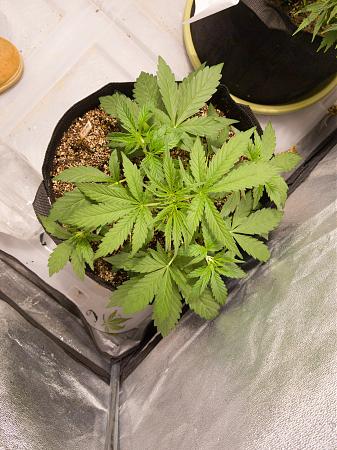 Click image for larger version

Name:	LRM_EXPORT_20088691043409_20190216_172200913.jpeg
Views:	228
Size:	969.7 KB
ID:	292366