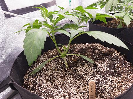 Click image for larger version

Name:	LRM_EXPORT_20103976703976_20190216_172216199.jpeg
Views:	243
Size:	1.07 MB
ID:	292369