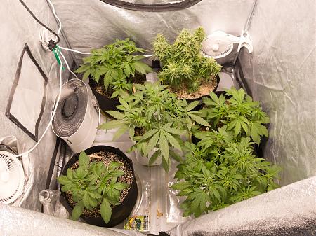 Click image for larger version

Name:	LRM_EXPORT_20146765564897_20190216_172258988.jpeg
Views:	213
Size:	1.02 MB
ID:	292372