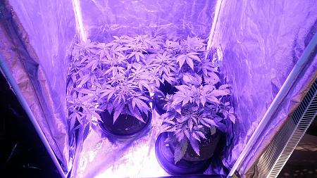 Click image for larger version

Name:	20170502_082745.jpg
Views:	197
Size:	6.46 MB
ID:	87206