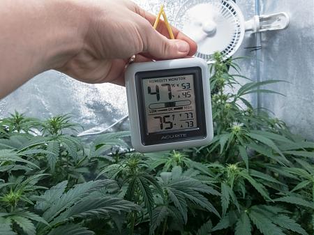 Click image for larger version

Name:	LRM_EXPORT_743627662497310_20190305_051124276.jpeg
Views:	213
Size:	684.2 KB
ID:	296291