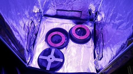 Click image for larger version

Name:	20170429_072137.jpg
Views:	251
Size:	6.42 MB
ID:	86062