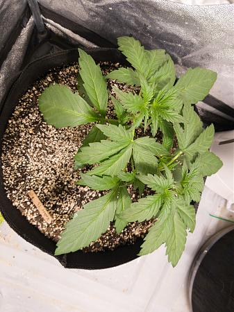 Click image for larger version

Name:	LRM_EXPORT_20100846494550_20190216_172213068.jpeg
Views:	231
Size:	848.0 KB
ID:	292368