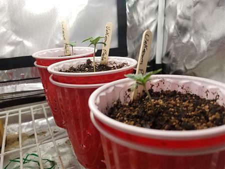 Click image for larger version

Name:	20190127_110051.jpg
Views:	379
Size:	1.72 MB
ID:	287119