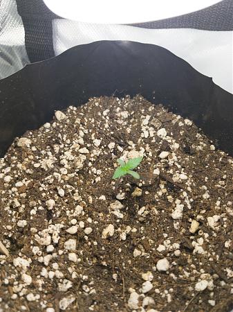 Click image for larger version

Name:	LRM_EXPORT_176679808454660_20190122_181536233.jpeg
Views:	374
Size:	3.60 MB
ID:	285963