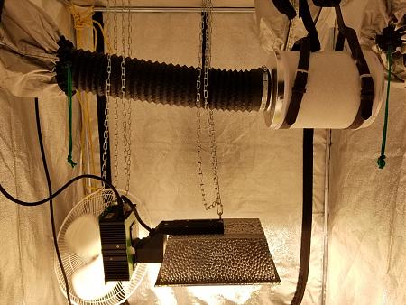 Click image for larger version

Name:	20190204_170732.jpg
Views:	357
Size:	2.67 MB
ID:	289390