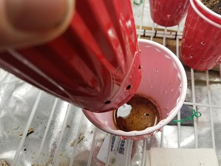 Click image for larger version

Name:	20190202_074725.jpg
Views:	370
Size:	1.66 MB
ID:	288635