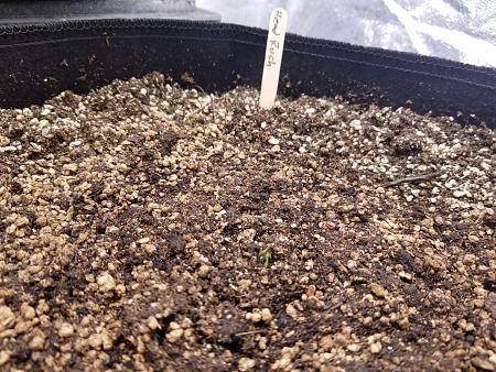 Click image for larger version

Name:	20190123_052641.jpg
Views:	412
Size:	3.05 MB
ID:	286067