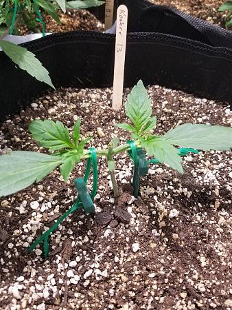 Click image for larger version

Name:	20190209_084533.jpg
Views:	374
Size:	3.10 MB
ID:	290489