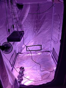 Click image for larger version

Name:	20180921_135157.jpg
Views:	321
Size:	2.32 MB
ID:	251179