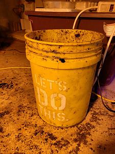 Click image for larger version

Name:	20180926_113344.jpg
Views:	289
Size:	2.51 MB
ID:	252588