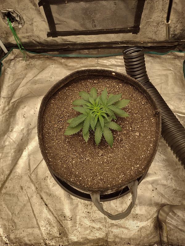 Click image for larger version

Name:	IMG_20260301_073750022_HDR.jpg
Views:	0
Size:	4.05 MB
ID:	663511