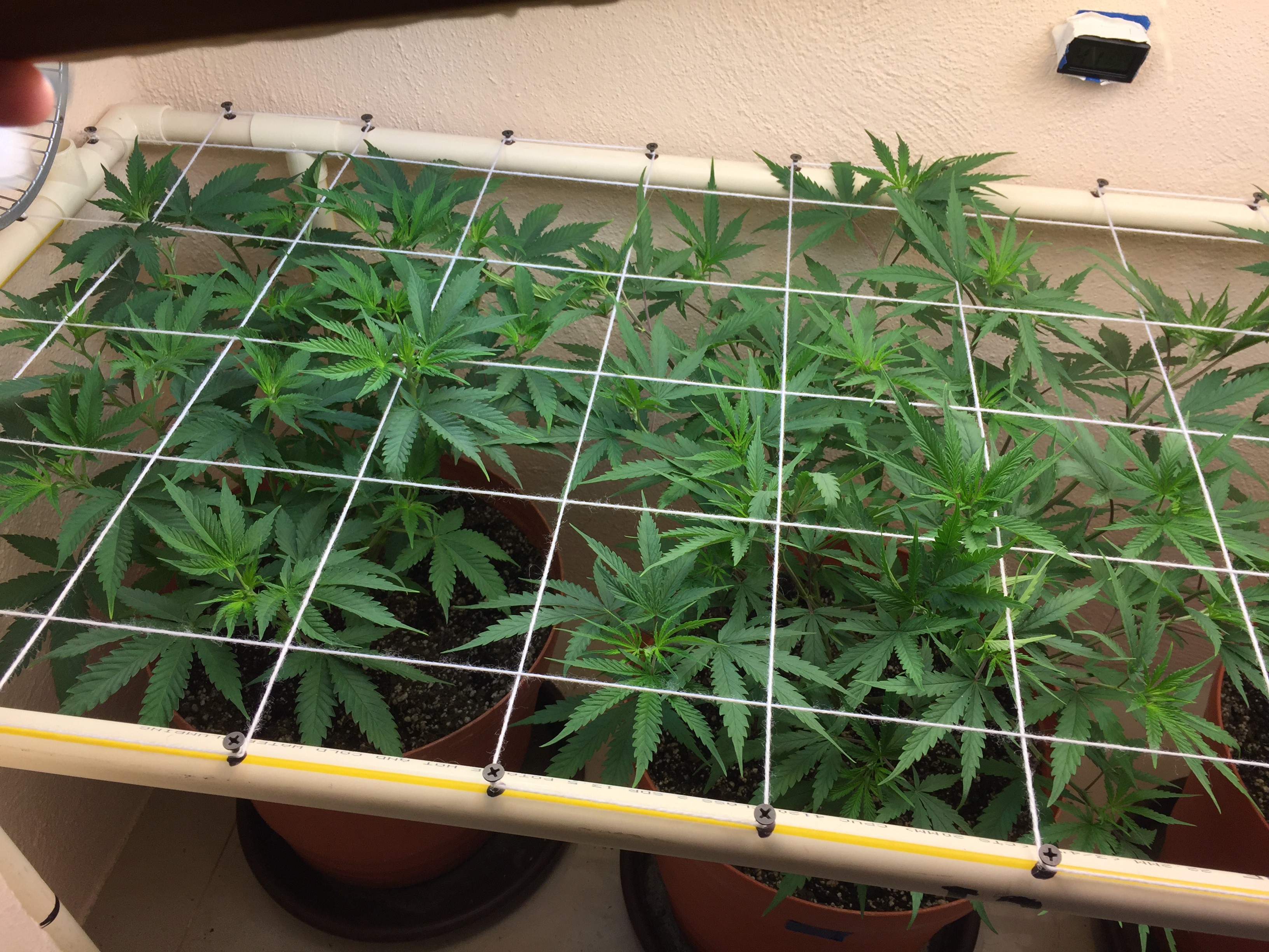 Click image for larger version

Name:	IMG_8248.JPG
Views:	238
Size:	1.78 MB
ID:	209782