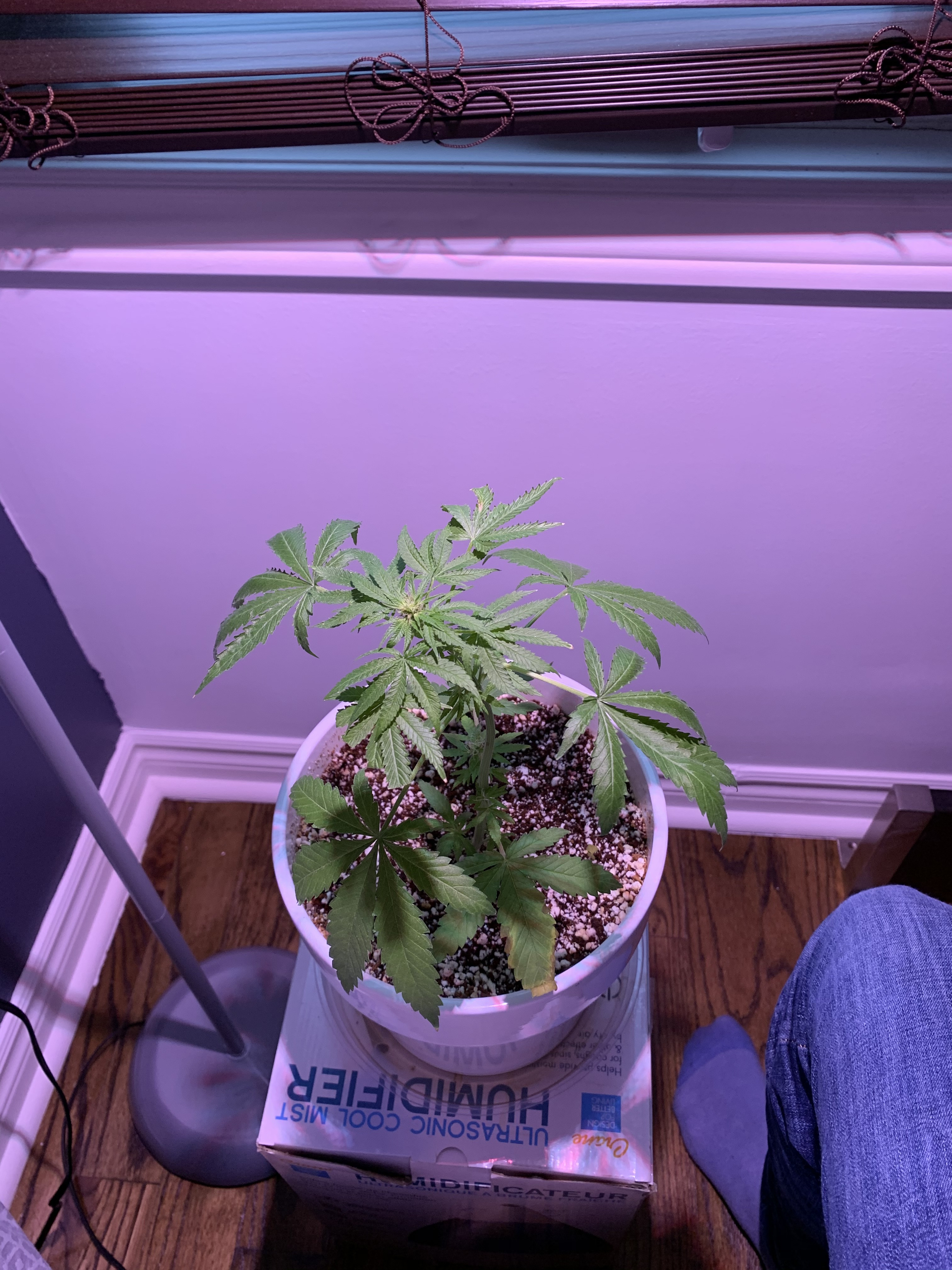 Click image for larger version

Name:	IMG_1215.jpg
Views:	533
Size:	2.22 MB
ID:	367949