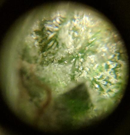 Click image for larger version

Name:	2020-05-25 13.20.42scaled.jpg
Views:	571
Size:	90.2 KB
ID:	409273