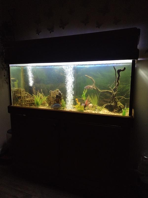 Click image for larger version

Name:	17725020863766647150982568121242.jpg
Views:	12
Size:	2.03 MB
ID:	663555