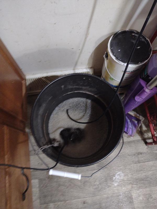 Click image for larger version

Name:	17726261588701503480505065872139.jpg
Views:	61
Size:	2.52 MB
ID:	663598