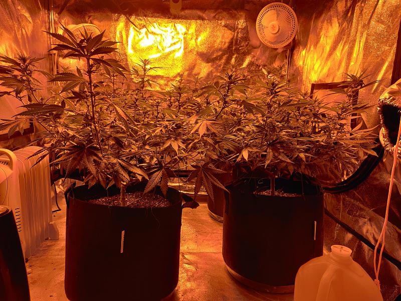 Click image for larger version

Name:	HPS.jpg
Views:	711
Size:	3.87 MB
ID:	376088