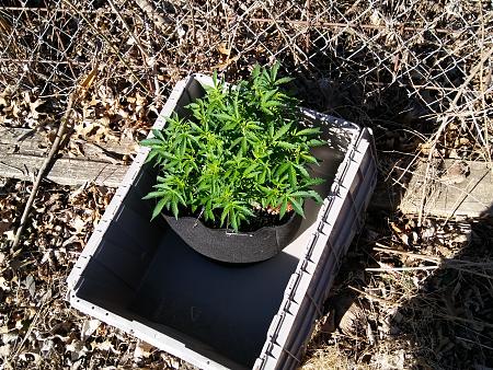 Click image for larger version

Name:	20170217_143159.jpg
Views:	202
Size:	9.50 MB
ID:	57609