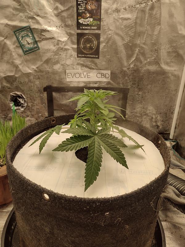 Click image for larger version

Name:	IMG_20260305_091834323_HDR.jpg
Views:	53
Size:	3.32 MB
ID:	663613