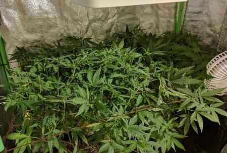 Click image for larger version

Name:	2019-07-14 BMAB1.jpg
Views:	512
Size:	169.3 KB
ID:	322085