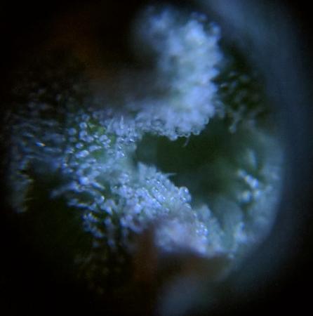 Click image for larger version

Name:	2019-08-04 BMC2.jpg
Views:	538
Size:	37.6 KB
ID:	327925