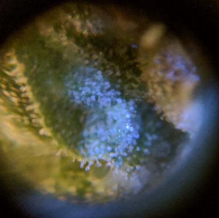 Click image for larger version

Name:	2019-08-04 BMC3.jpg
Views:	554
Size:	51.0 KB
ID:	327923