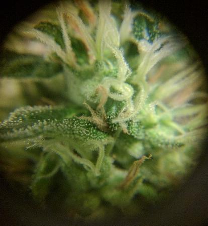 Click image for larger version

Name:	2019-07-21 BMC2.jpg
Views:	629
Size:	66.4 KB
ID:	324211