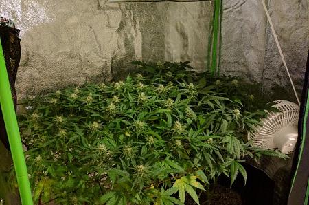 Click image for larger version

Name:	2019-08-04 BMAB1.jpg
Views:	537
Size:	125.5 KB
ID:	327922