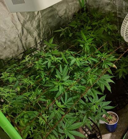 Click image for larger version

Name:	2019-07-07 BMAB SCROG.jpg
Views:	615
Size:	162.3 KB
ID:	320578