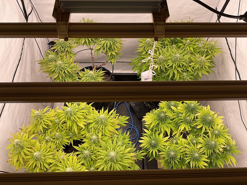 Click image for larger version

Name:	IMG_1412.jpg
Views:	103
Size:	3.57 MB
ID:	663641