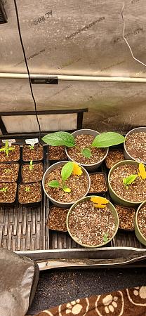 Click image for larger version

Name:	20260307_195207.jpg
Views:	41
Size:	3.15 MB
ID:	663651