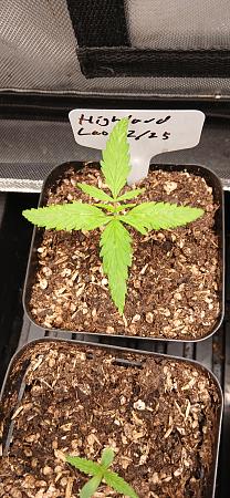 Click image for larger version

Name:	20260307_195217.jpg
Views:	43
Size:	2.31 MB
ID:	663654