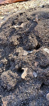 Click image for larger version

Name:	20260227_134317.jpg
Views:	48
Size:	3.57 MB
ID:	663657