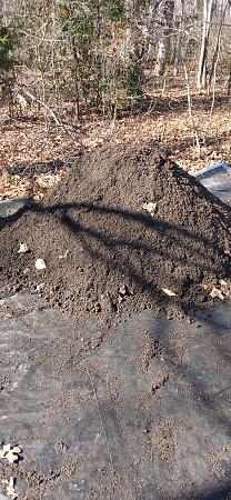 Click image for larger version

Name:	20260227_140611.jpg
Views:	45
Size:	4.34 MB
ID:	663658