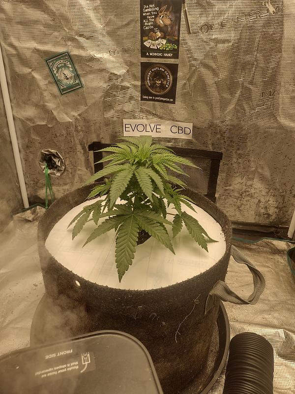 Click image for larger version

Name:	IMG_20260308_091235636_HDR.jpg
Views:	47
Size:	3.83 MB
ID:	663673