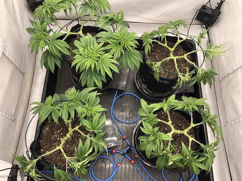 Click image for larger version

Name:	IMG_8710.jpg
Views:	91
Size:	3.31 MB
ID:	663684