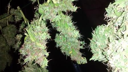 Click image for larger version

Name:	IMG_20170813_115742658.jpg
Views:	241
Size:	1.96 MB
ID:	124917