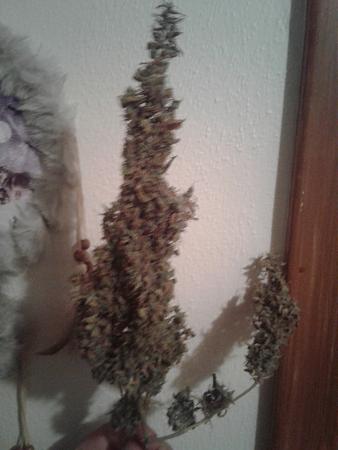 Click image for larger version

Name:	20170822_080623.jpg
Views:	217
Size:	2.02 MB
ID:	127251