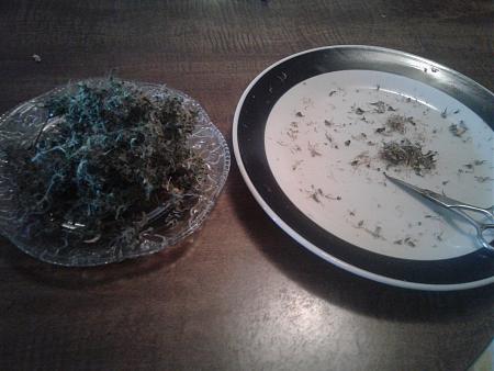 Click image for larger version

Name:	20170822_084349.jpg
Views:	222
Size:	2.53 MB
ID:	127253