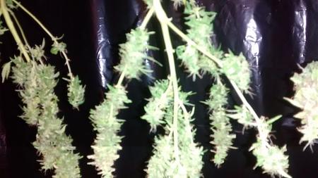 Click image for larger version

Name:	IMG_20170813_115947948.jpg
Views:	222
Size:	1.56 MB
ID:	124919