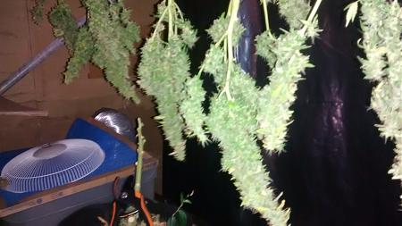 Click image for larger version

Name:	IMG_20170813_115723316.jpg
Views:	230
Size:	1.57 MB
ID:	124916